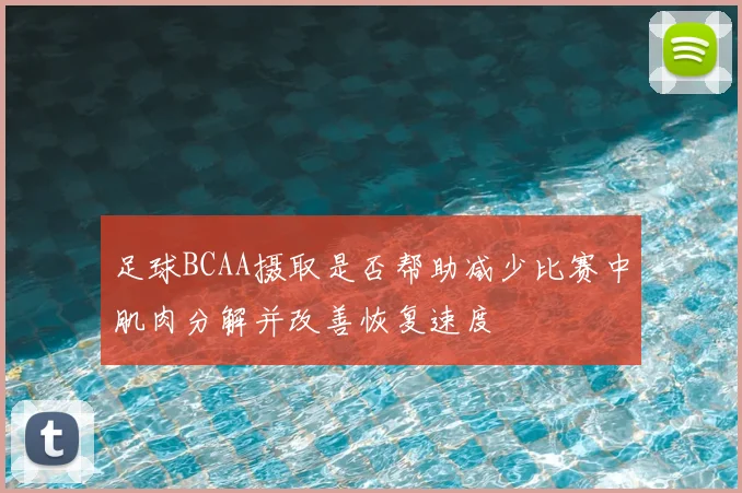 足球BCAA摄取是否帮助减少比赛中肌肉分解并改善恢复速度