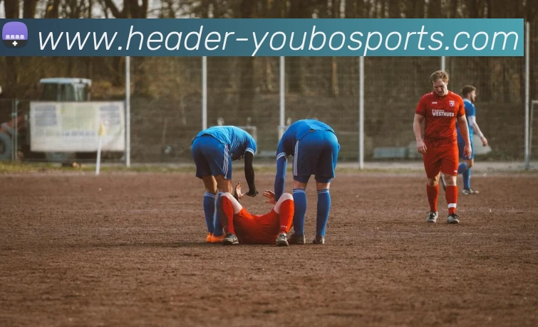 App Interface Preview